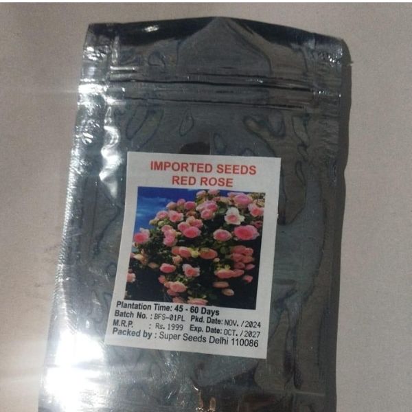 Elegant Climbing Rose Flower Seeds