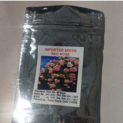 Elegant Climbing Rose Flower Seeds